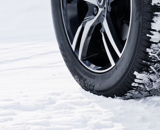 Wheel
