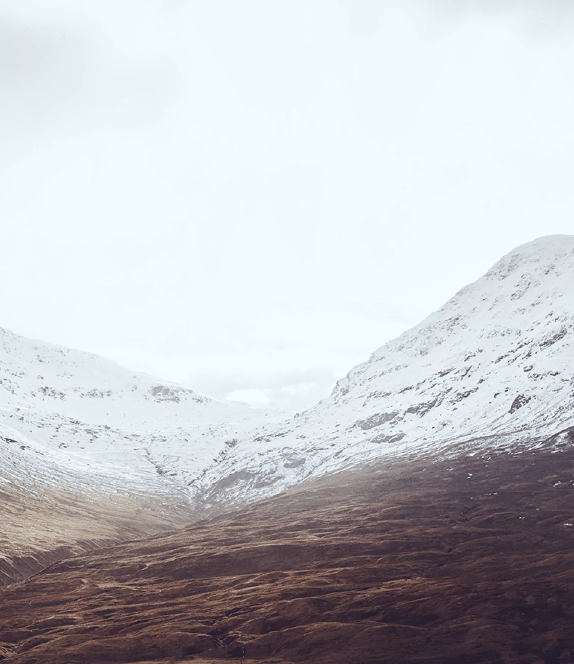 Environment