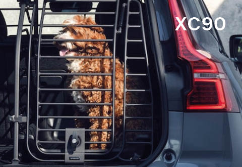 Dog Pack XC90