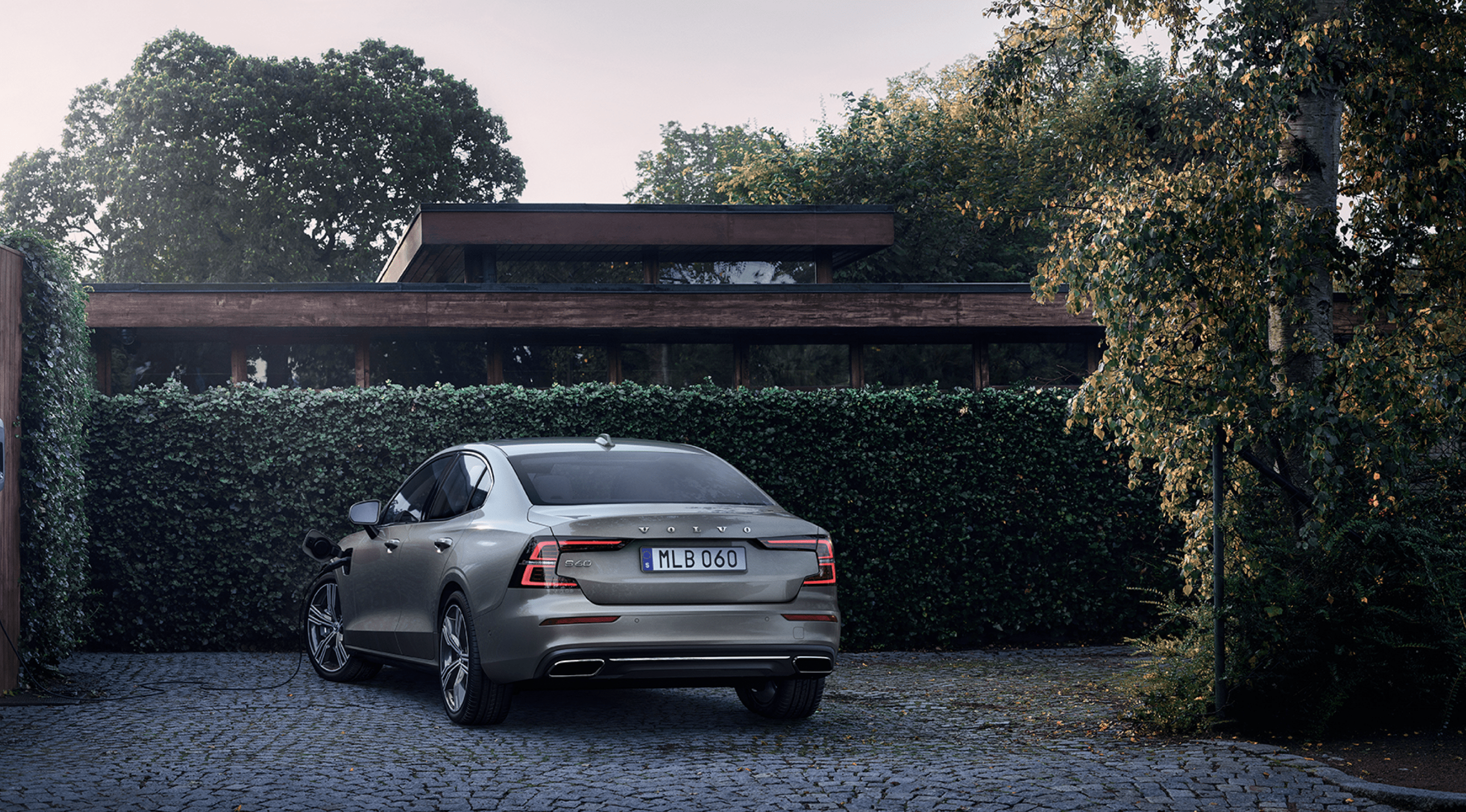 Volvo Limousine