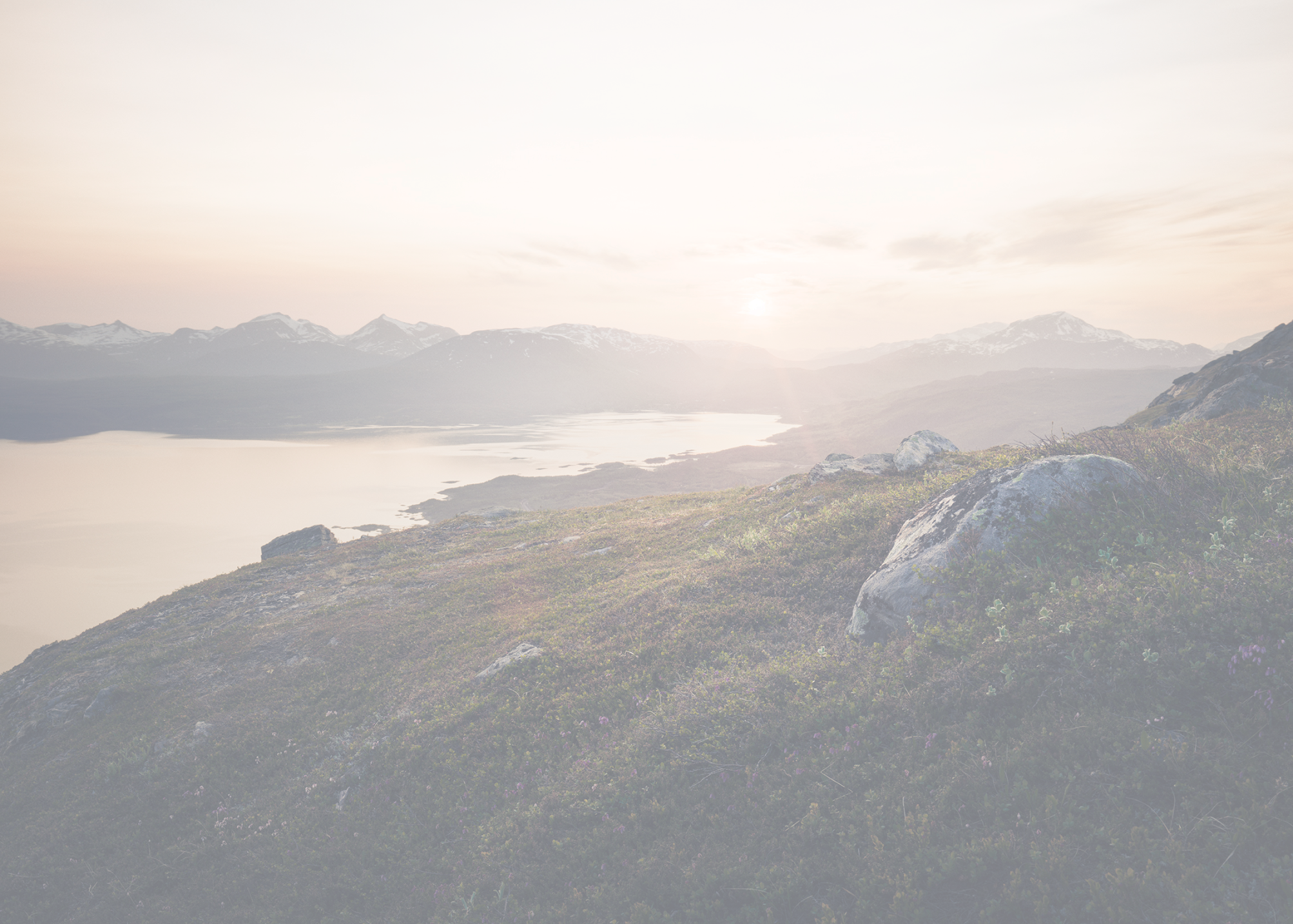 Landschaft